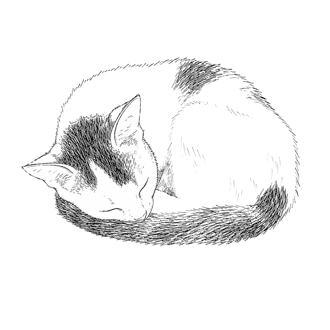 Hand-drawn illustration of Moremi the cat, curled up asleep